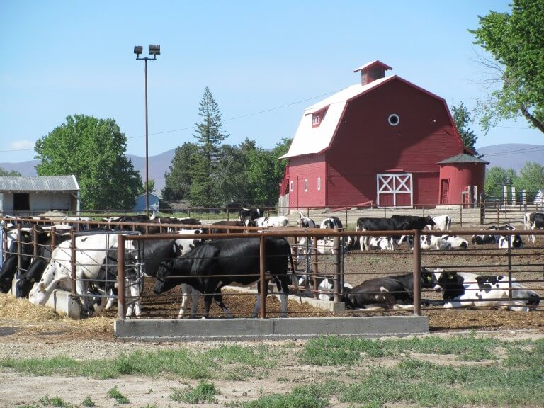 Cattle Ranch Propane